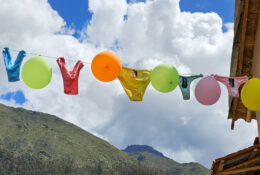 Peru_and_Bolivia_2025 (63/66)